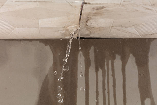 Professional Water Damage Repair technician working in Powell, TX